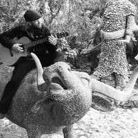 Dylan Starkey的照片