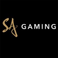 SA  Gaming's Photo