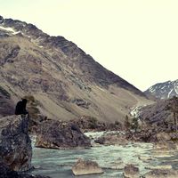 martyna-ciulkin的照片