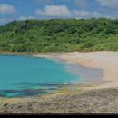 Immagine di Day Trip To Kenting National Park 