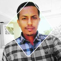 Bisrat Ayalew的照片