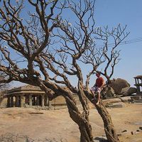 Thomas Dyllick的照片