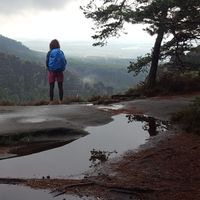 Melanie Göhlert's Photo