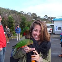 Sam Schipani的照片