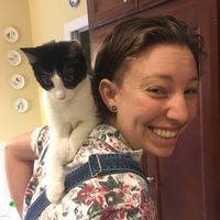 Bridget Condron的照片