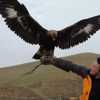 Benjamin Siedler's Photo