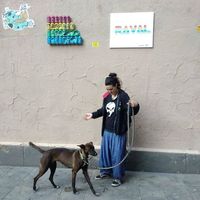 María Segovia Tajes的照片