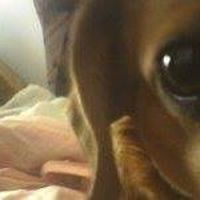 Fotos de Daniel Ionica