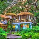 Coworking among the trees: Data And AI's picture