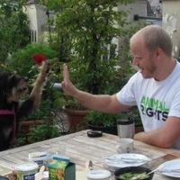 Gustav Grusell的照片