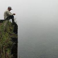 Marcelo Santosi's Photo