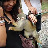 Fotos von Karen Acostum