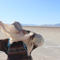 Greta Trisciani's Photo