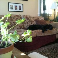 tracy Miller's Photo