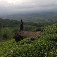 Jayakumar Karthigaisamy's Photo