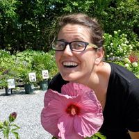 Ariadne Brancato's Photo