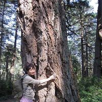 yoshiko Oshima's Photo