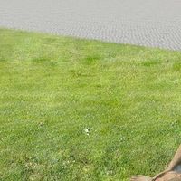 Kryštof Pikard's Photo