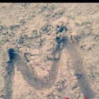 مومي ابوبكر's Photo