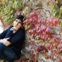 meisam boojavar's Photo