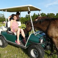 Champenois Clémence的照片