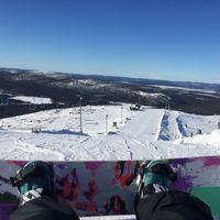 Riinamaria Hongisto的照片