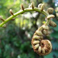 Jessa Marie的照片