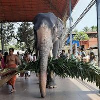 Goldberg 🌳🏔's Photo