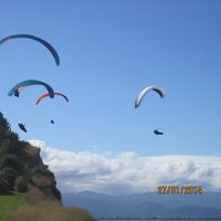 Bruce Vickerman's Photo