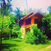 Alexey Soldatoff's Photo