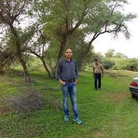 Mohammad reza Jorfi's Photo