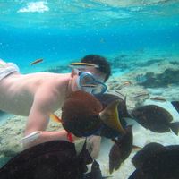 Photos de Paul Horiuchi