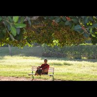 Abdo Yasser的照片