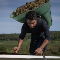 Romain de Tredern's Photo