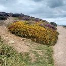Easy coastal hike in Howth的照片