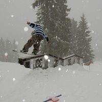 Alex Metcalfe的照片