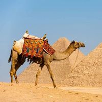 Le foto di Rehab Mostafa