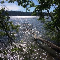 Le foto di Christal Rosalee