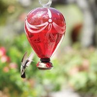 Toñita Gutierrez Cazares's Photo