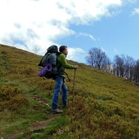 Fotos de Alex Arapko