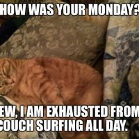 Mohammed Ali的照片