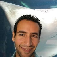 bishoy nabil's Photo