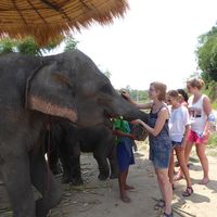 Ines Glindemann的照片