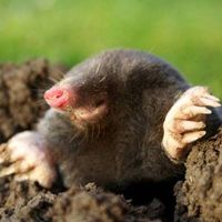 Filip Modrzejewski's Photo