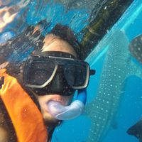 Youngsoo Kim's Photo