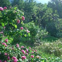 Isabel Consigliere的照片