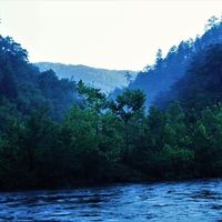 Fotos de Daryl Banther