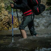 luciana palma的照片