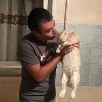 Fotos de Kamol Murodov