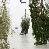 Stephanie Arlt's Photo